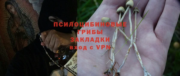 не бодяженный Белокуриха