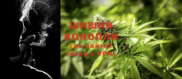 не бодяженный Белокуриха